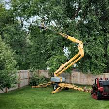 Best Lawn Mowing  in Reading, PA